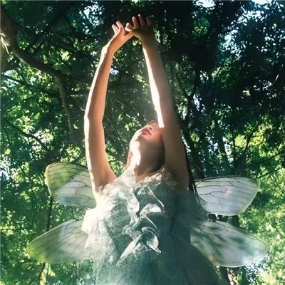 她的玫瑰藏着刀