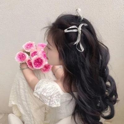 皇家国教骑士团 OVA